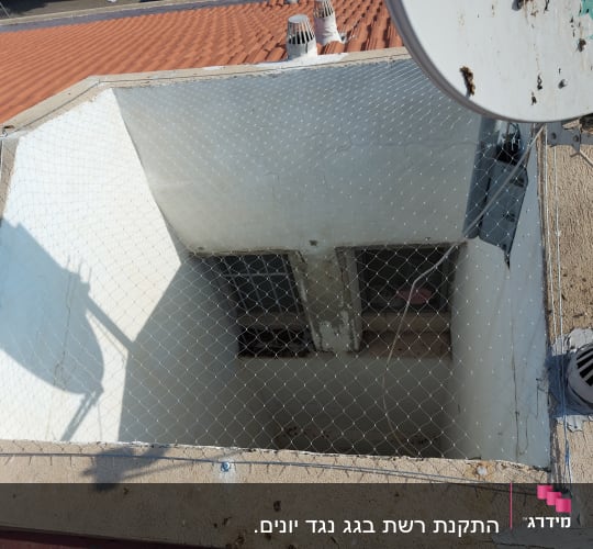 רשת מתוחה מעל פתח למניעת כניסת יונים